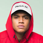 Load image into Gallery viewer, Psalm 22