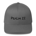 Load image into Gallery viewer, Psalm 22