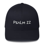 Load image into Gallery viewer, Psalm 22