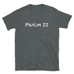 Load image into Gallery viewer, Psalm 22