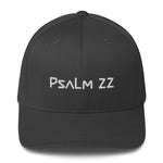 Load image into Gallery viewer, Psalm 22
