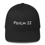 Load image into Gallery viewer, Psalm 22