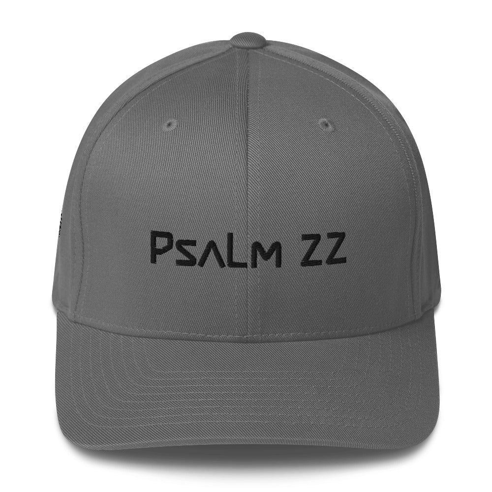 Psalm 22