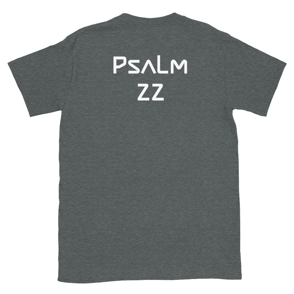 Psalm 22 (Back)