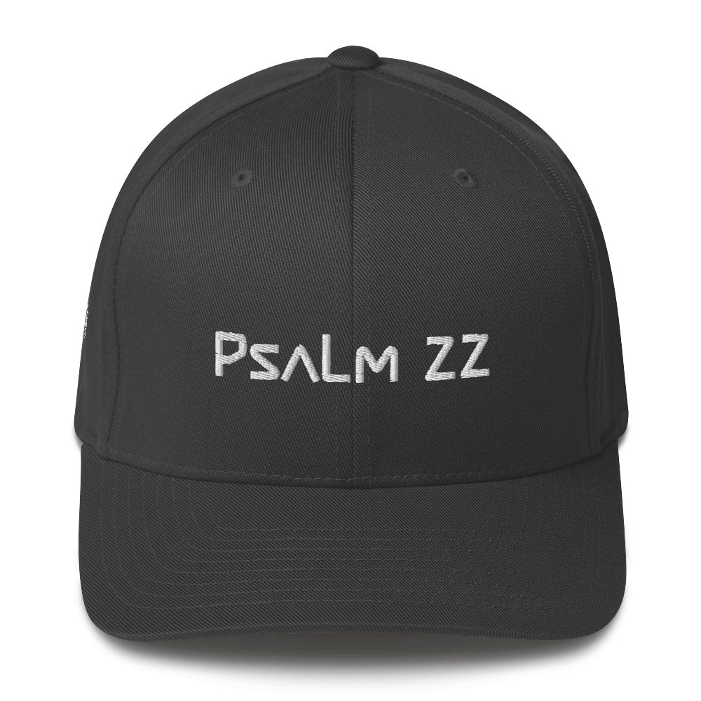 Psalm 22