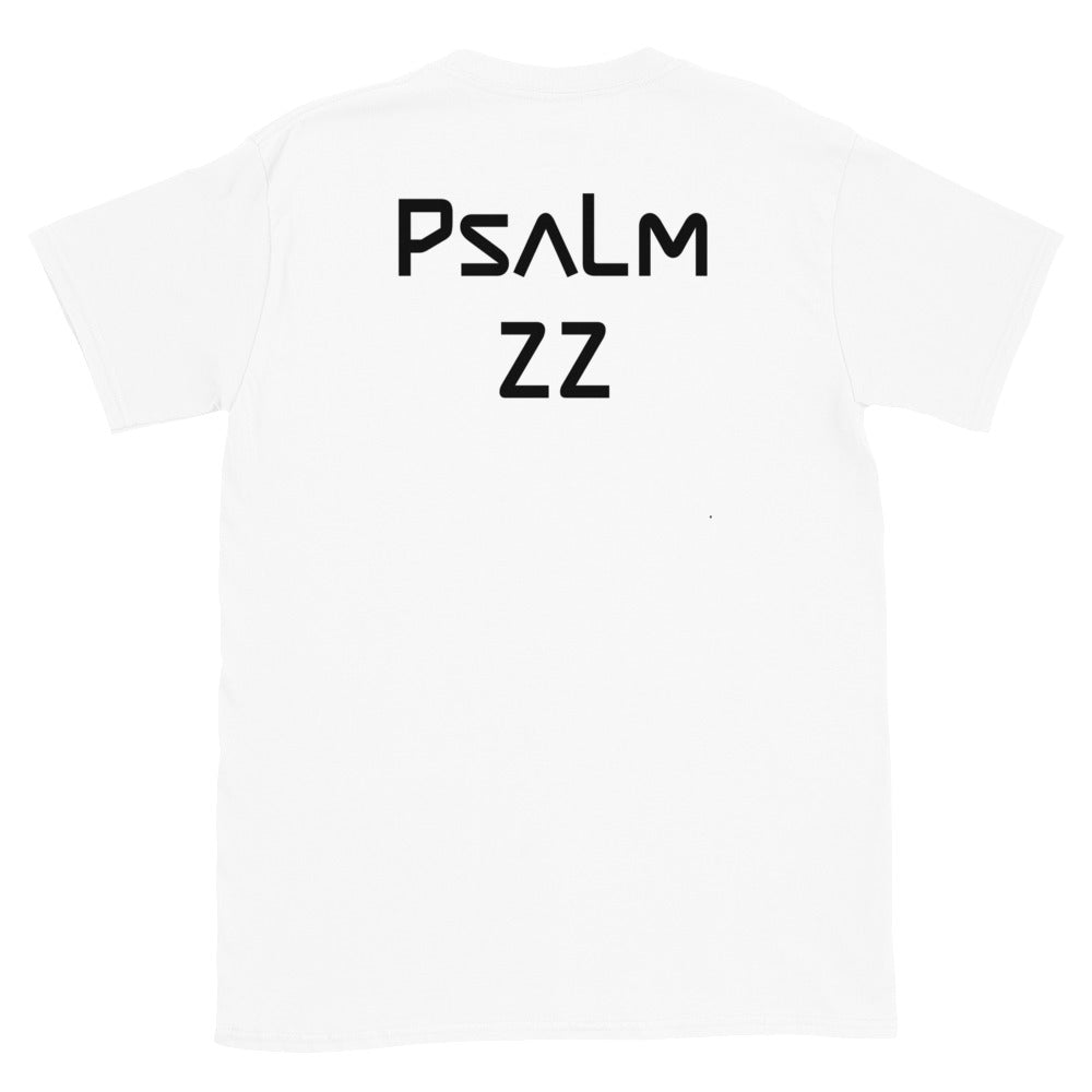 Psalm 22 (Back)